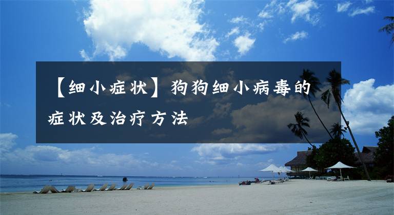【细小症状】狗狗细小病毒的症状及治疗方法