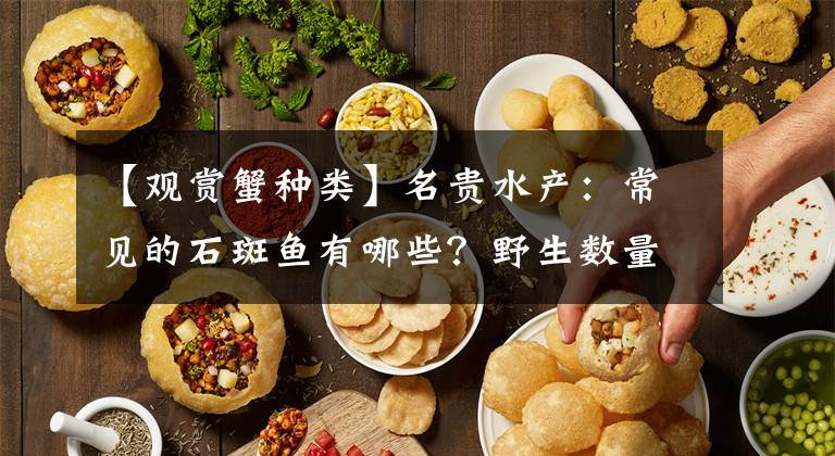 【观赏蟹种类】名贵水产：常见的石斑鱼有哪些？野生数量减少，养殖或成解救方案