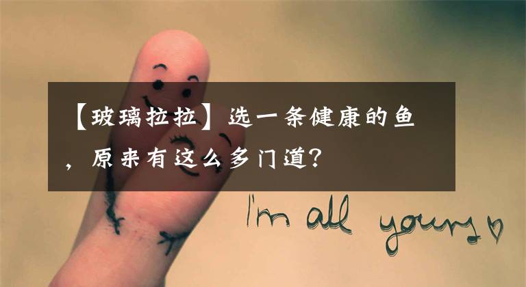 【玻璃拉拉】选一条健康的鱼，原来有这么多门道？
