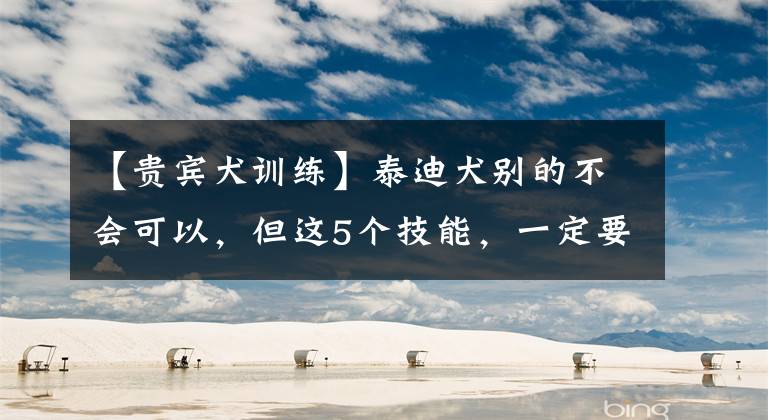 【贵宾犬训练】泰迪犬别的不会可以，但这5个技能，一定要学会