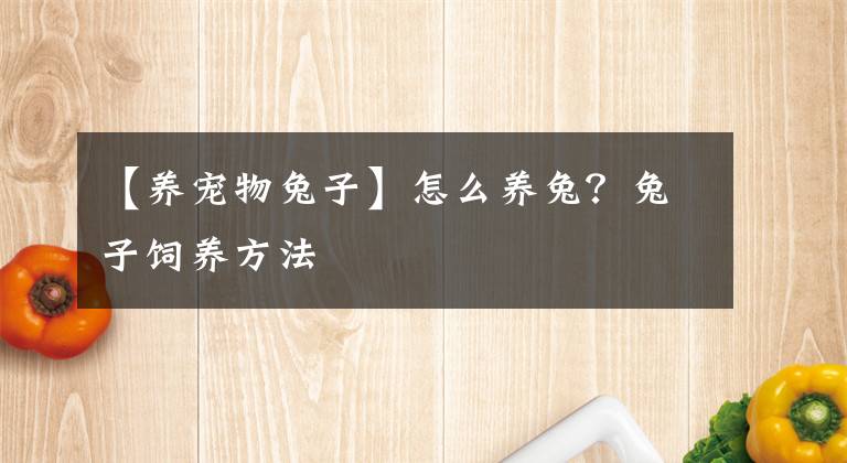 【养宠物兔子】怎么养兔?兔子饲养方法