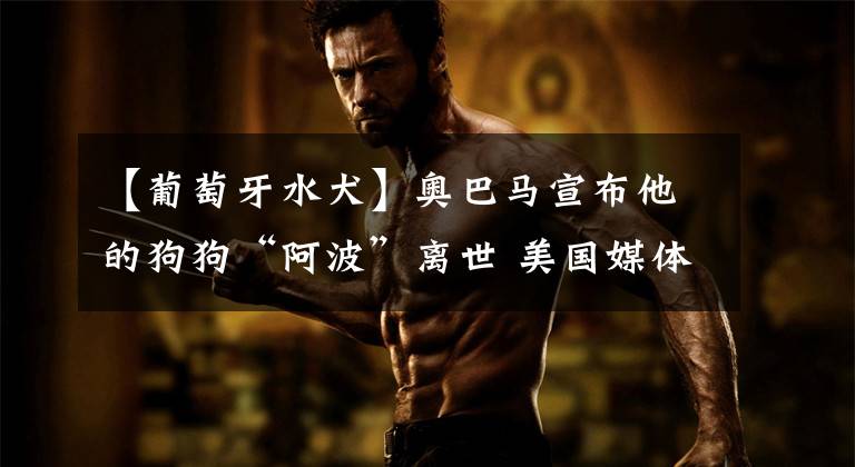 【葡萄牙水犬】奥巴马宣布他的狗狗“阿波”离世 美国媒体争相报道