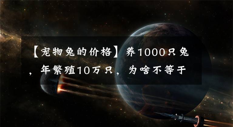 【宠物兔的价格】养1000只兔，年繁殖10万只，为啥不等于投资1千收益10万
