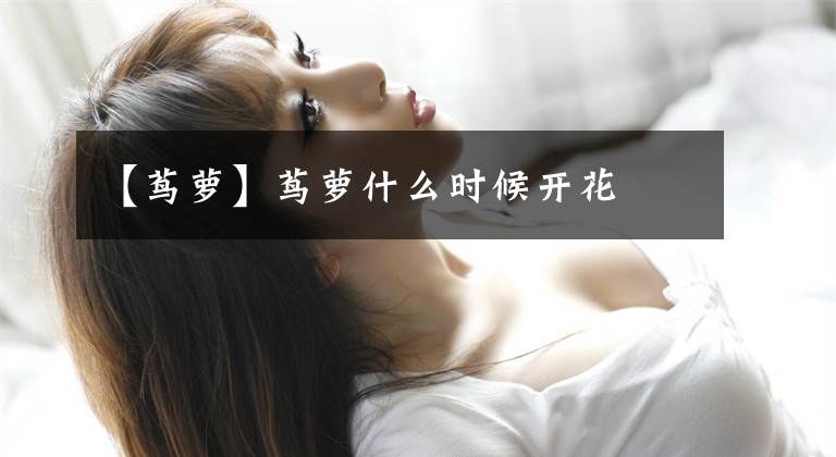 【茑萝】茑萝什么时候开花