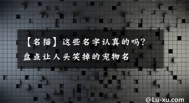 【名猫】这些名字认真的吗？盘点让人头笑掉的宠物名