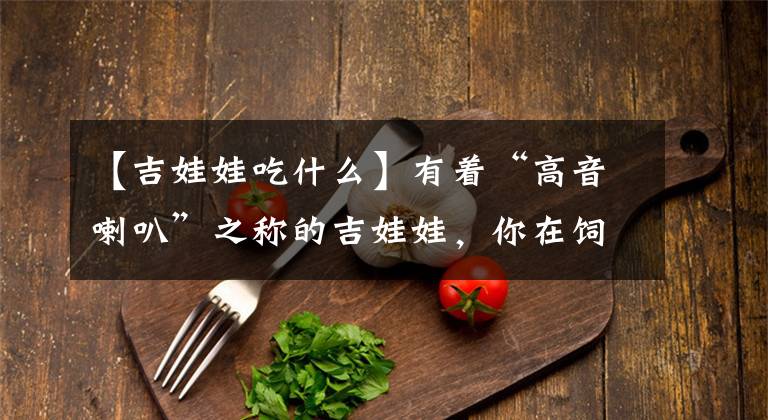 【吉娃娃吃什么】有着“高音喇叭”之称的吉娃娃，你在饲养前，要了解它的特点！