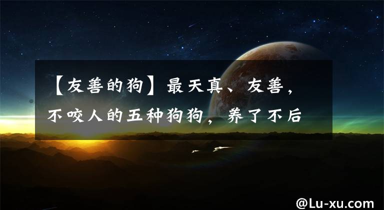 【友善的狗】最天真、友善，不咬人的五种狗狗，养了不后悔