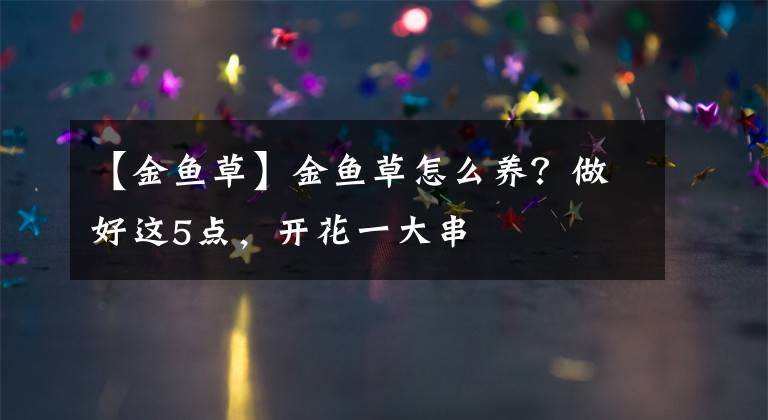 【金鱼草】金鱼草怎么养?做好这5点,开花一大串