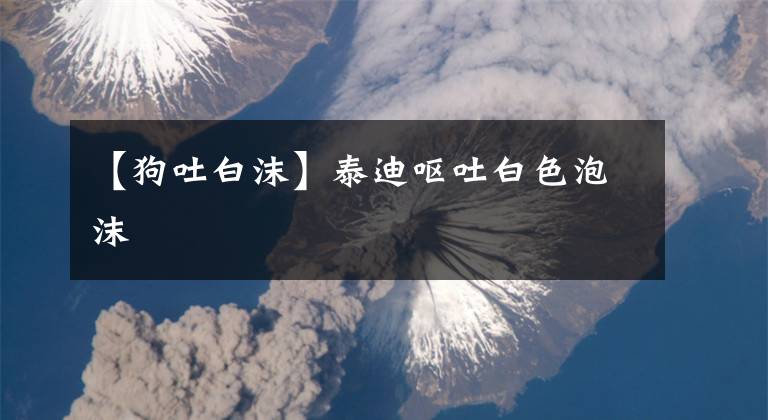 【狗吐白沫】泰迪呕吐白色泡沫