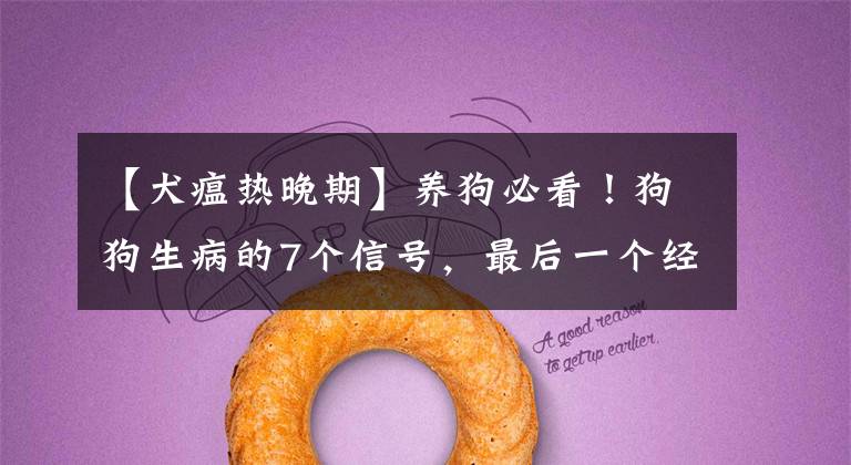 【犬瘟热晚期】养狗必看！狗狗生病的7个信号，最后一个经常被忽略