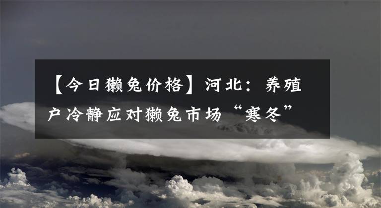 【今日獭兔价格】河北:养殖户冷静应对獭兔市场“寒冬”