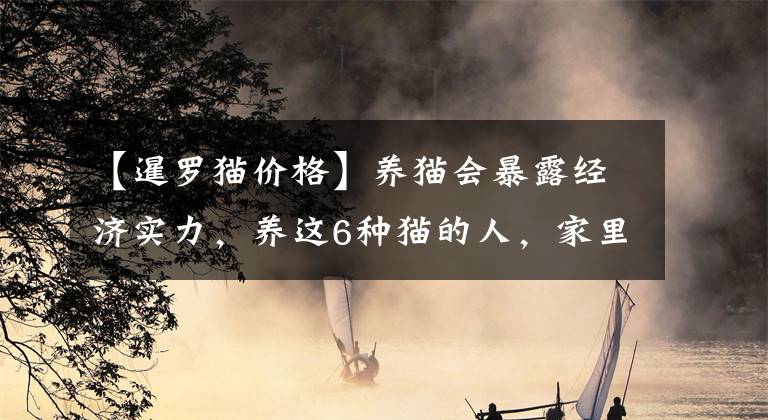 【暹罗猫价格】养猫会暴露经济实力，养这6种猫的人，家里都有矿