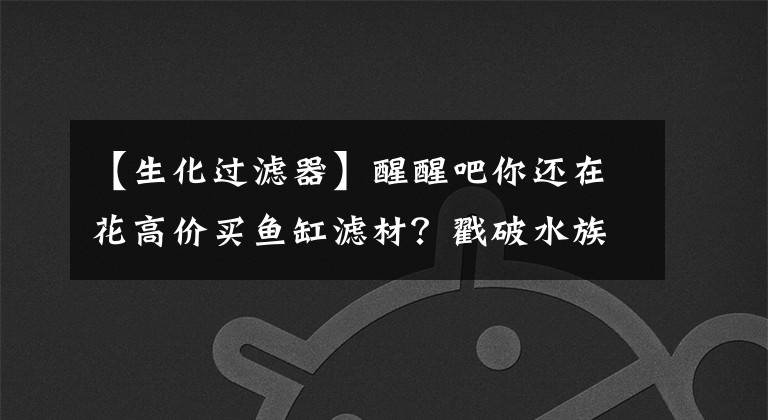 【生化过滤器】醒醒吧你还在花高价买鱼缸滤材?戳破水族新谎言:新型鱼缸过滤