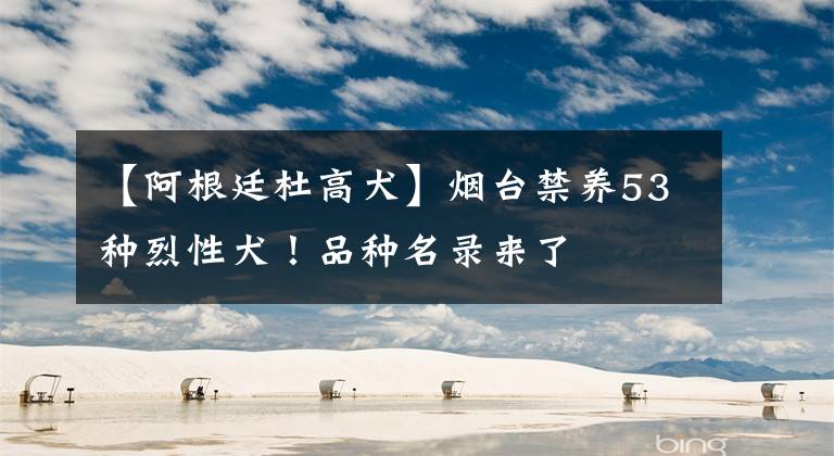 【阿根廷杜高犬】烟台禁养53种烈性犬!品种名录来了
