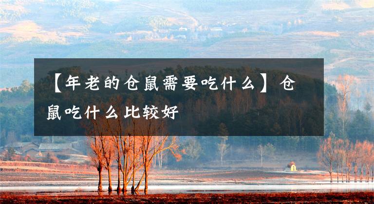 【年老的仓鼠需要吃什么】仓鼠吃什么比较好