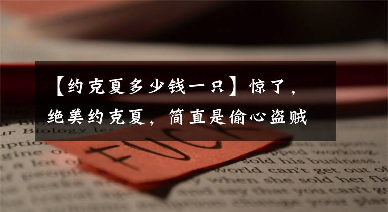 【约克夏多少钱一只】惊了，绝美约克夏，简直是偷心盗贼