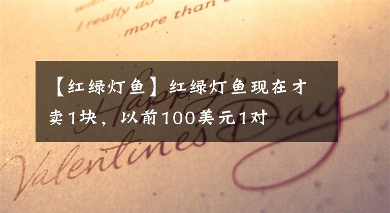 【红绿灯鱼】红绿灯鱼现在才卖1块,以前100美元1对