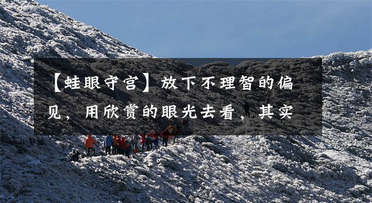 【蛙眼守宫】放下不理智的偏见，用欣赏的眼光去看，其实爬宠也没那么恐怖