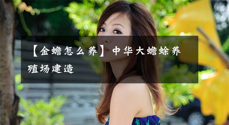 【金蟾怎么养】中华大蟾蜍养殖场建造