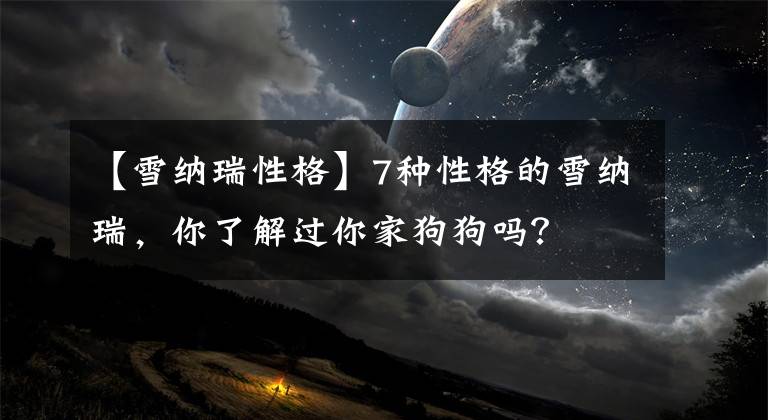 【雪纳瑞性格】7种性格的雪纳瑞,你了解过你家狗狗吗?