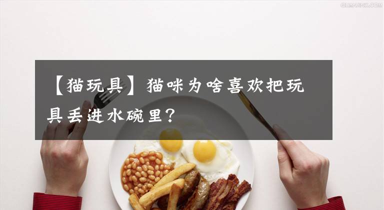 【猫玩具】猫咪为啥喜欢把玩具丢进水碗里？