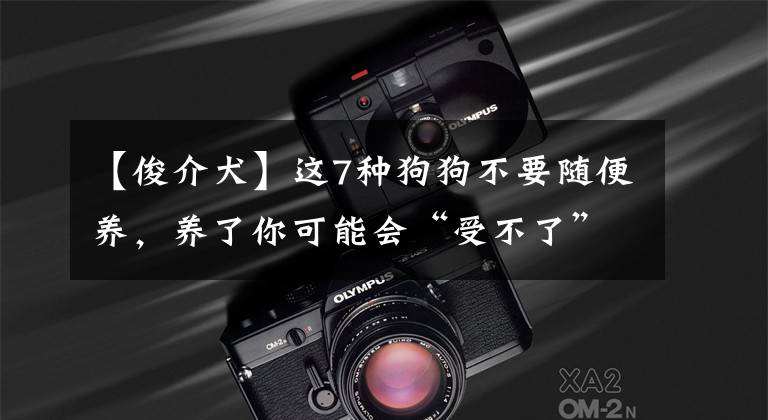 【俊介犬】这7种狗狗不要随便养,养了你可能会“受不了”