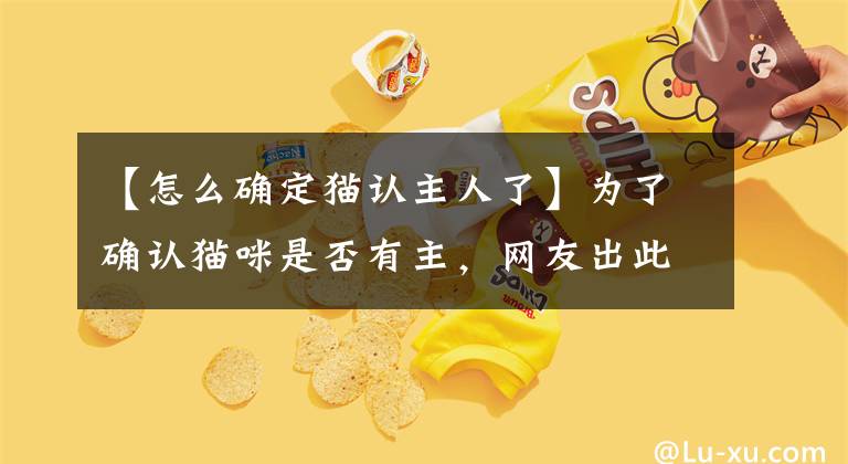 【怎么确定猫认主人了】为了确认猫咪是否有主,网友出此下策,猫:我亲妈都认不出啊