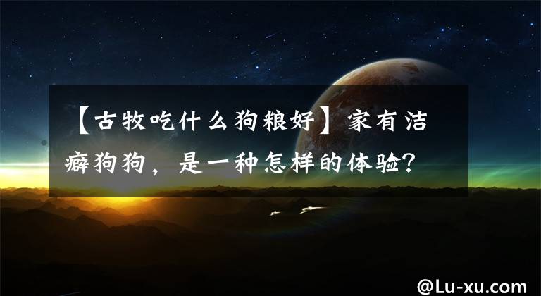 【古牧吃什么狗粮好】家有洁癖狗狗，是一种怎样的体验？