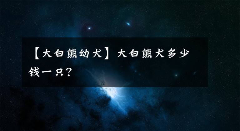 【大白熊幼犬】大白熊犬多少钱一只？