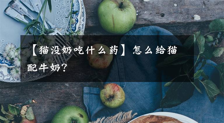 【猫没奶吃什么药】怎么给猫配牛奶?