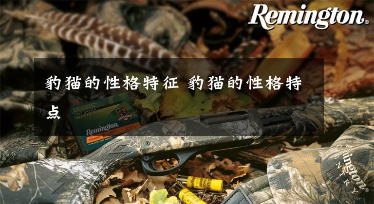 豹猫的性格特征 豹猫的性格特点