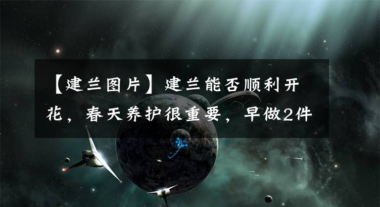 【建兰图片】建兰能否顺利开花，春天养护很重要，早做2件事，苗多花多