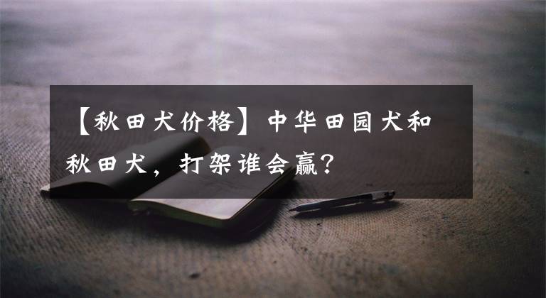 【秋田犬价格】中华田园犬和秋田犬，打架谁会赢？