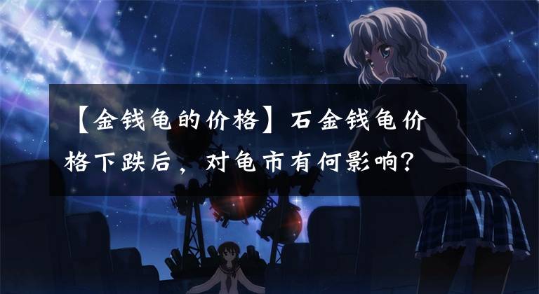 【金钱龟的价格】石金钱龟价格下跌后，对龟市有何影响？龟市应吸取哪些教训？