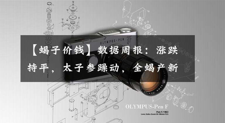 【蝎子价钱】数据周报:涨跌持平,太子参躁动,全蝎产新显缓