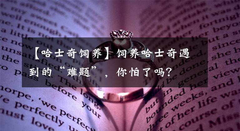 【哈士奇饲养】饲养哈士奇遇到的“难题”,你怕了吗?