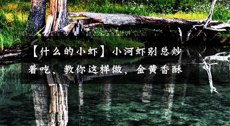 【什么的小虾】小河虾别总炒着吃,教你这样做,金黄香酥,比炒的好吃百倍