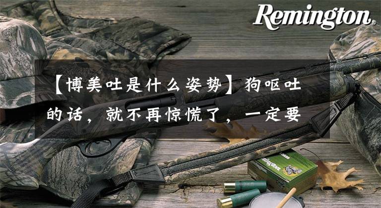 【博美吐是什么姿势】狗呕吐的话，就不再惊慌了，一定要收藏起来