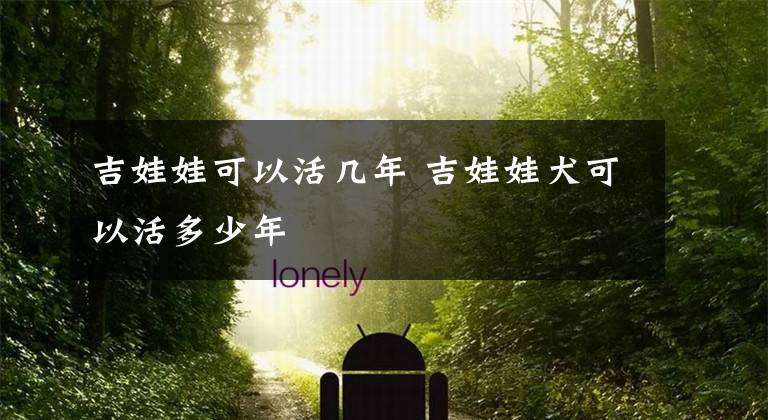吉娃娃可以活几年 吉娃娃犬可以活多少年