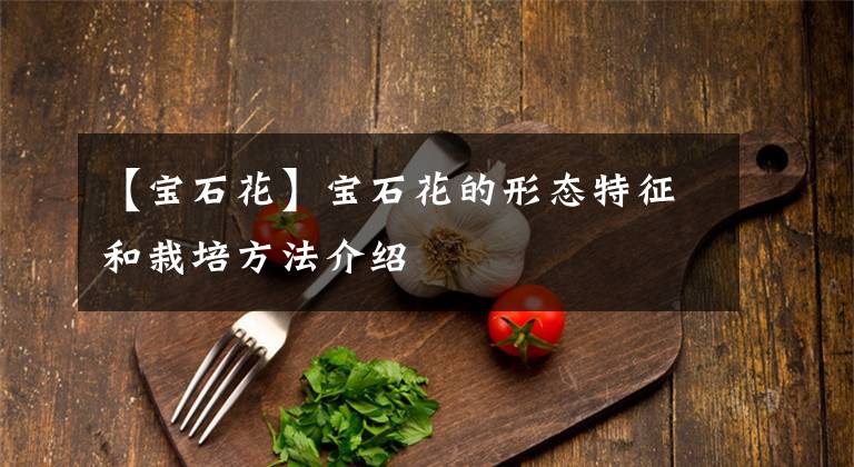 【宝石花】宝石花的形态特征和栽培方法介绍