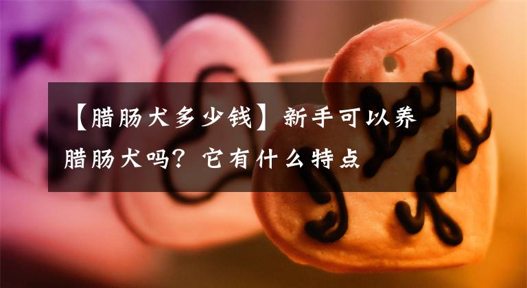 【腊肠犬多少钱】新手可以养腊肠犬吗?它有什么特点