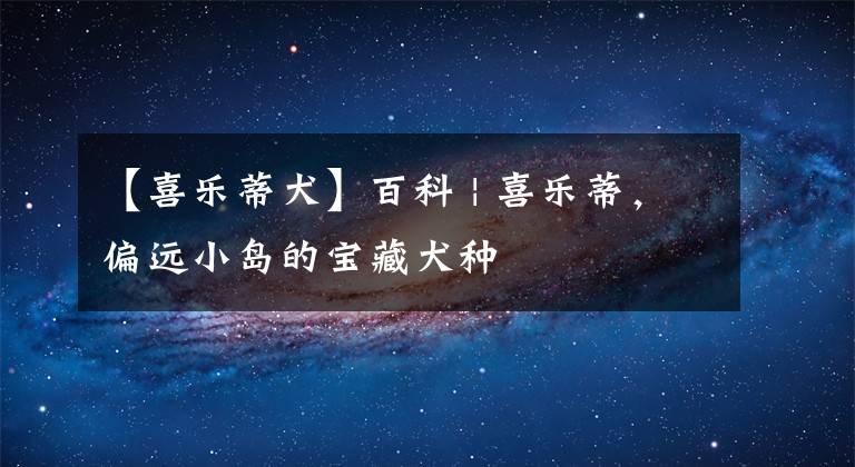 【喜乐蒂犬】百科 | 喜乐蒂，偏远小岛的宝藏犬种