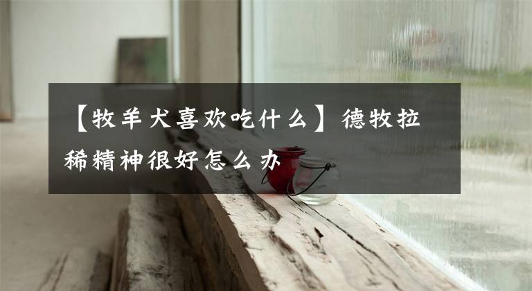 【牧羊犬喜欢吃什么】德牧拉稀精神很好怎么办