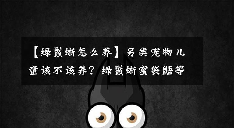 【绿鬣蜥怎么养】另类宠物儿童该不该养？绿鬣蜥蜜袋鼯等“神奇动物”什么样？