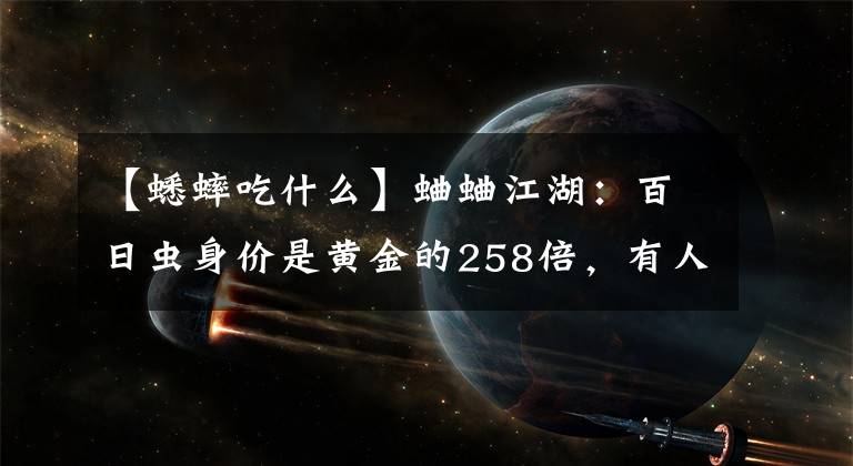 【蟋蟀吃什么】蛐蛐江湖:百日虫身价是黄金的258倍,有人拿500万房子伺候