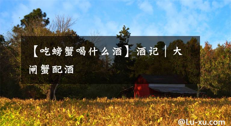 【吃螃蟹喝什么酒】酒记|大闸蟹配酒