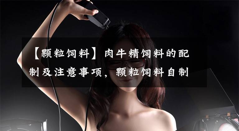【颗粒饲料】肉牛精饲料的配制及注意事项,颗粒饲料自制效益高