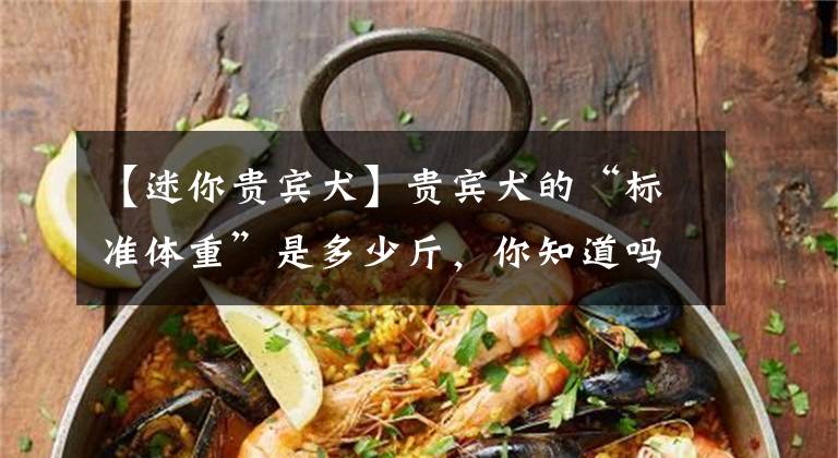 【迷你贵宾犬】贵宾犬的“标准体重”是多少斤,你知道吗?