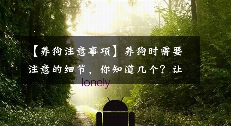 【养狗注意事项】养狗时需要注意的细节，你知道几个？让我为你解答吧