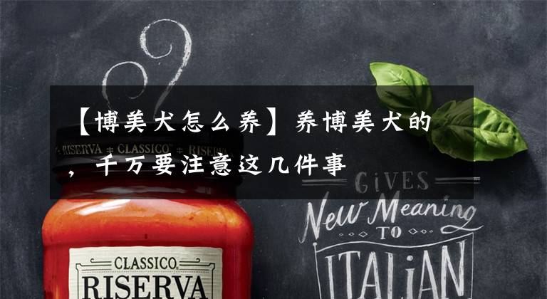 【博美犬怎么养】养博美犬的,千万要注意这几件事
